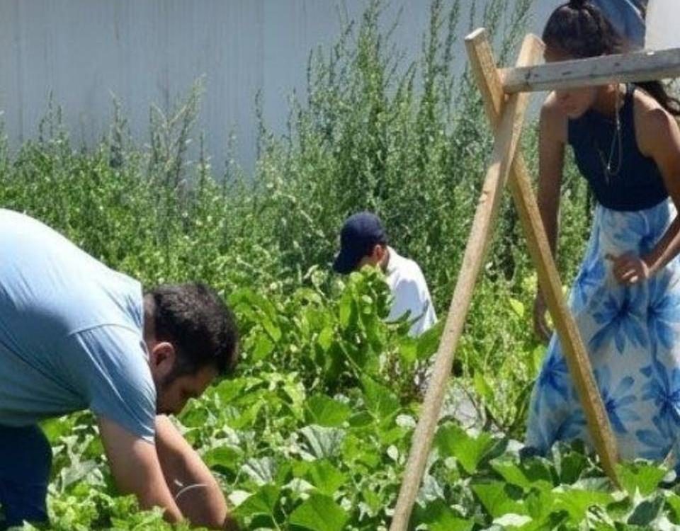 هتلی پول نمی‌خواهند؛ گردشگران باید بیل به دست شوند!